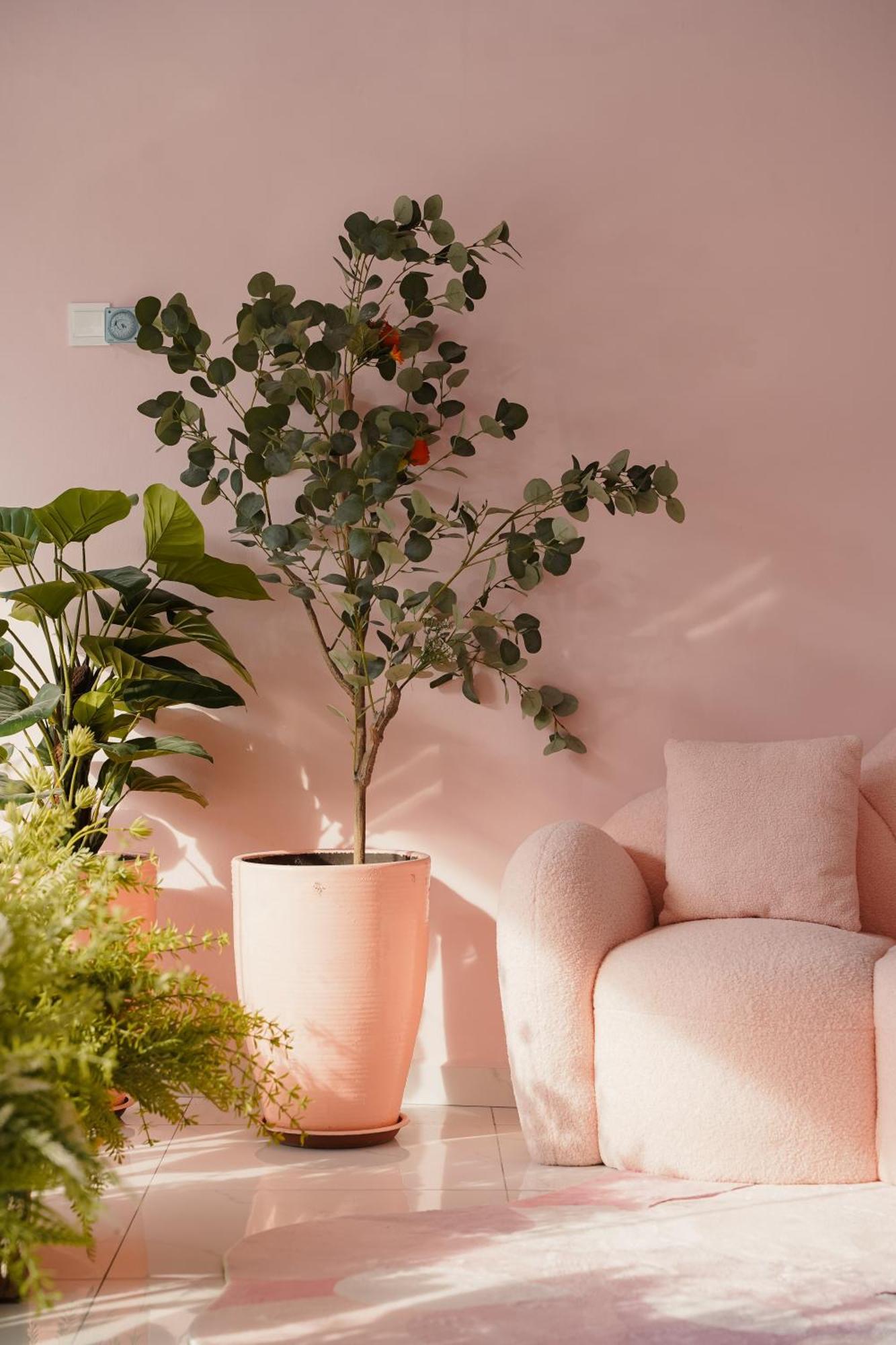 Pink Cabana Hotel George Town Zewnętrze zdjęcie